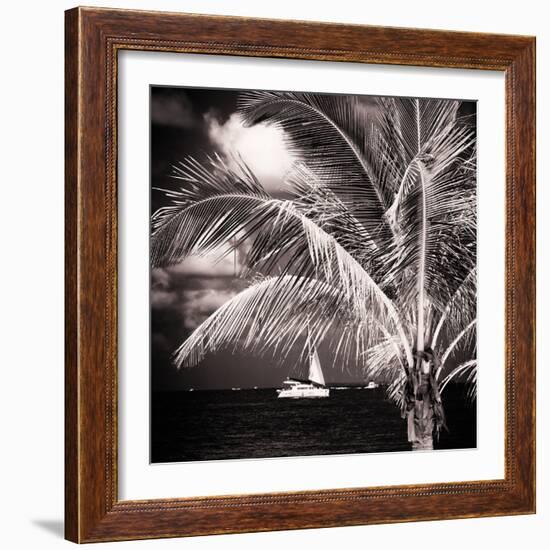 Paradise Palm Tree with a Sailboat on the Ocean - Florida-Philippe Hugonnard-Framed Photographic Print