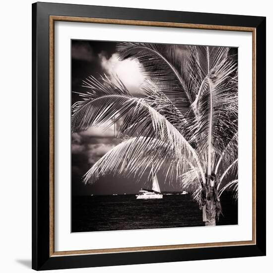 Paradise Palm Tree with a Sailboat on the Ocean - Florida-Philippe Hugonnard-Framed Photographic Print