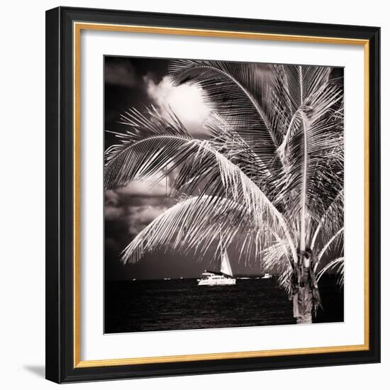 Paradise Palm Tree with a Sailboat on the Ocean - Florida-Philippe Hugonnard-Framed Photographic Print