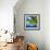 Paradise Palm Tree with a Sailboat on the Ocean - Florida-Philippe Hugonnard-Framed Photographic Print displayed on a wall