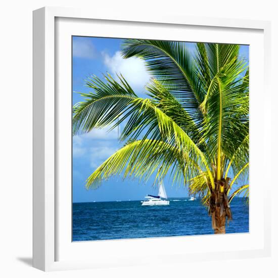 Paradise Palm Tree with a Sailboat on the Ocean - Florida-Philippe Hugonnard-Framed Photographic Print