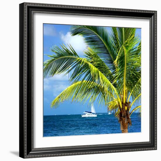 Paradise Palm Tree with a Sailboat on the Ocean - Florida-Philippe Hugonnard-Framed Photographic Print