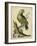Paradise Parrots V-George Edwards-Framed Art Print