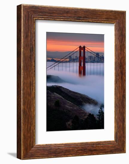 Paradise Sunrise and Fog, Golden Gate Bridge, San Francisco-Vincent James-Framed Photographic Print