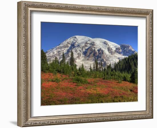 Paradise Valley and Mt. Rainier, Mt. Rainier National Park, Washington, Usa-Jamie & Judy Wild-Framed Photographic Print