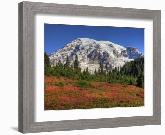 Paradise Valley and Mt. Rainier, Mt. Rainier National Park, Washington, Usa-Jamie & Judy Wild-Framed Photographic Print