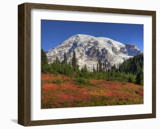 Paradise Valley and Mt. Rainier, Mt. Rainier National Park, Washington, Usa-Jamie & Judy Wild-Framed Photographic Print