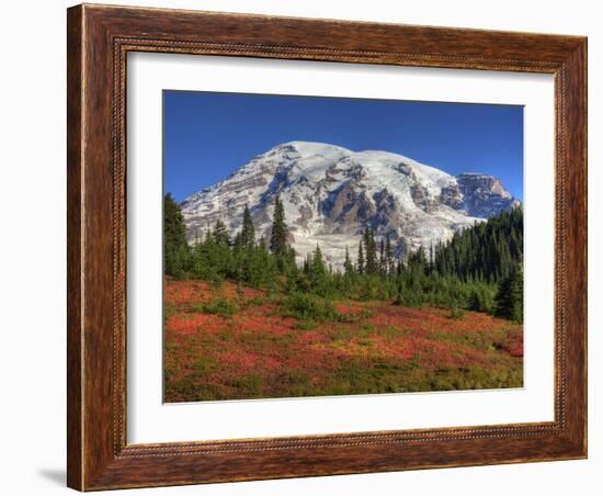 Paradise Valley and Mt. Rainier, Mt. Rainier National Park, Washington, Usa-Jamie & Judy Wild-Framed Photographic Print