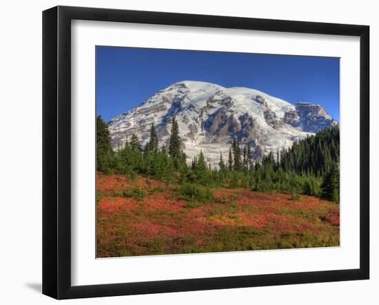 Paradise Valley and Mt. Rainier, Mt. Rainier National Park, Washington, Usa-Jamie & Judy Wild-Framed Photographic Print