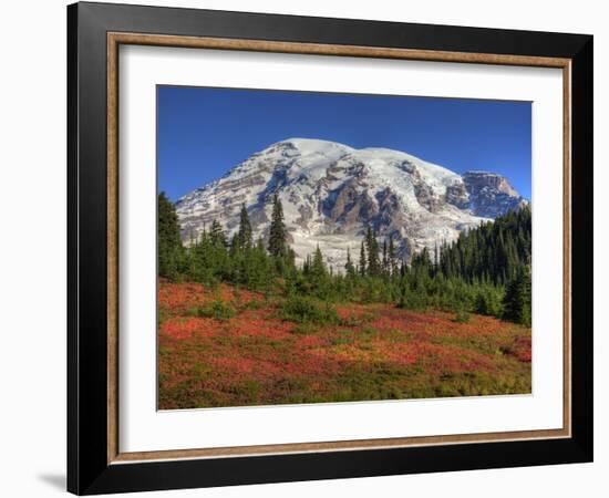 Paradise Valley and Mt. Rainier, Mt. Rainier National Park, Washington, Usa-Jamie & Judy Wild-Framed Photographic Print