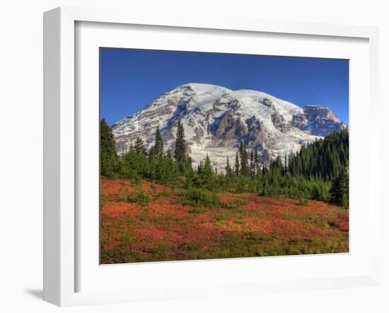 Paradise Valley and Mt. Rainier, Mt. Rainier National Park, Washington, Usa-Jamie & Judy Wild-Framed Photographic Print