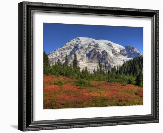 Paradise Valley and Mt. Rainier, Mt. Rainier National Park, Washington, Usa-Jamie & Judy Wild-Framed Photographic Print