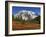 Paradise Valley and Mt. Rainier, Mt. Rainier National Park, Washington, Usa-Jamie & Judy Wild-Framed Photographic Print