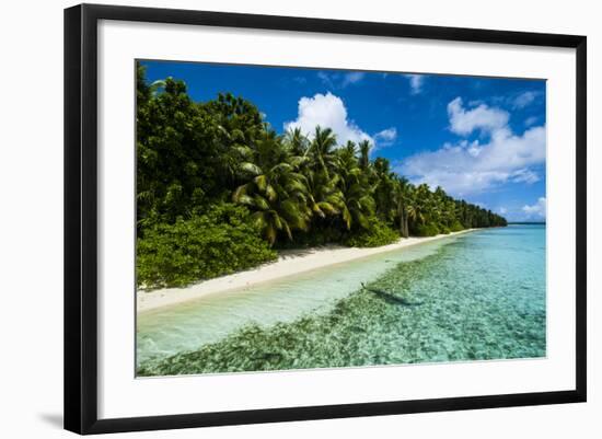 Paradise White Sand Beach in Turquoise Water on Ant Atoll, Pohnpei, Micronesia, Pacific-Michael Runkel-Framed Photographic Print