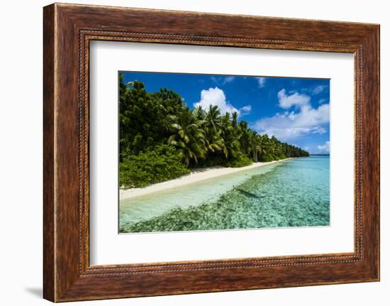 Paradise White Sand Beach in Turquoise Water on Ant Atoll, Pohnpei, Micronesia, Pacific-Michael Runkel-Framed Photographic Print