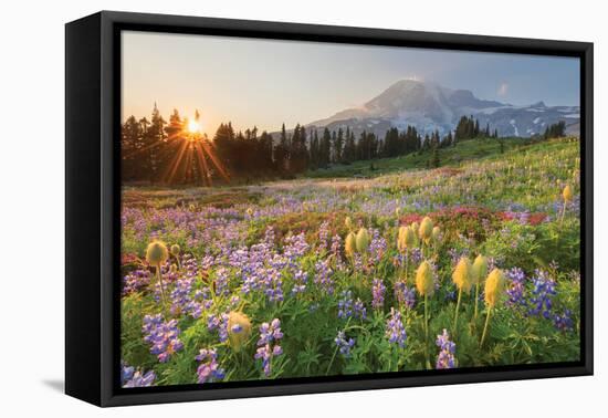 Paradise Wildflower Meadows I-Alan Majchrowicz-Framed Premier Image Canvas