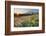 Paradise Wildflower Meadows I-Alan Majchrowicz-Framed Photographic Print