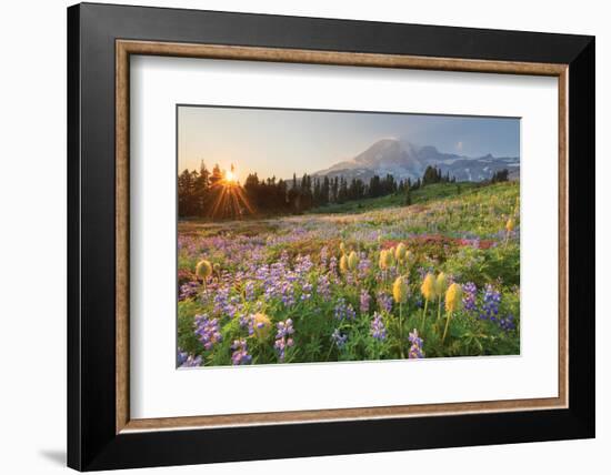 Paradise Wildflower Meadows I-Alan Majchrowicz-Framed Photographic Print