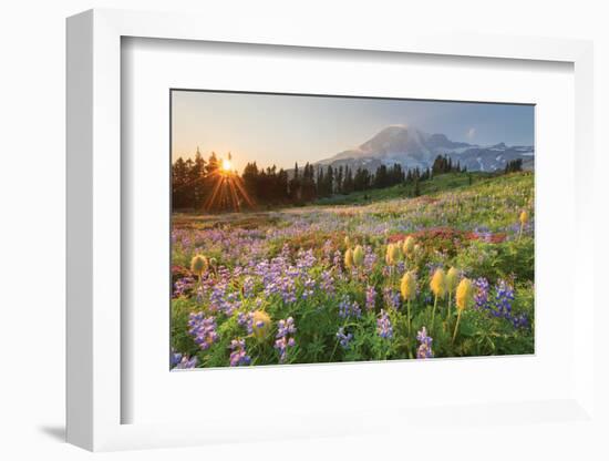 Paradise Wildflower Meadows I-Alan Majchrowicz-Framed Photographic Print