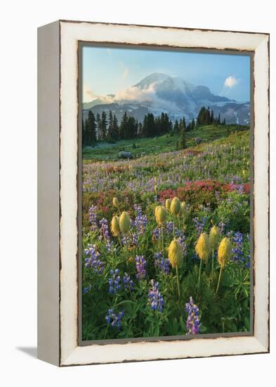 Paradise Wildflower Meadows II-Alan Majchrowicz-Framed Premier Image Canvas