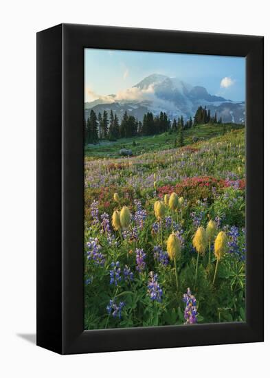 Paradise Wildflower Meadows II-Alan Majchrowicz-Framed Premier Image Canvas