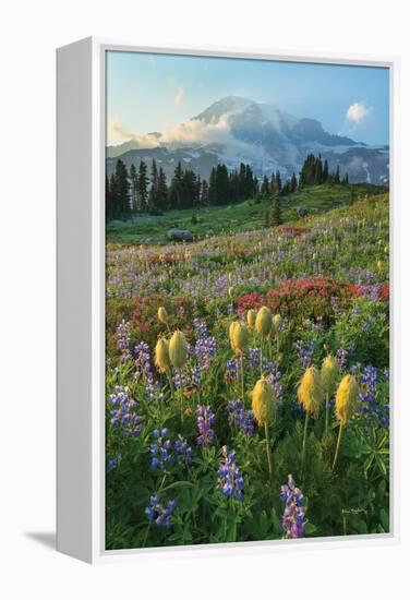 Paradise Wildflower Meadows II-Alan Majchrowicz-Framed Premier Image Canvas