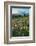 Paradise Wildflower Meadows II-Alan Majchrowicz-Framed Photographic Print