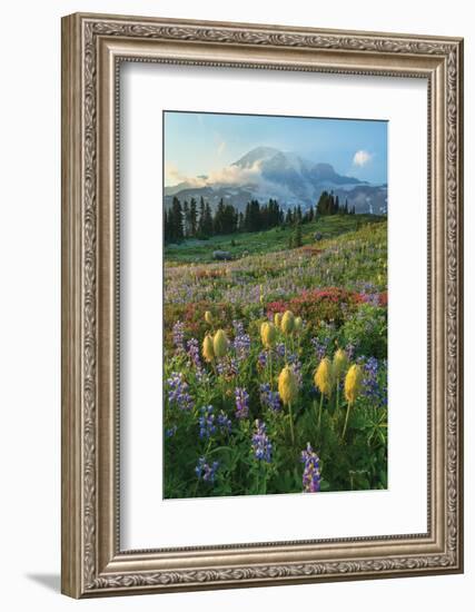 Paradise Wildflower Meadows II-Alan Majchrowicz-Framed Photographic Print