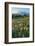 Paradise Wildflower Meadows II-Alan Majchrowicz-Framed Photographic Print