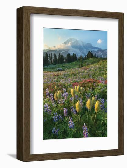 Paradise Wildflower Meadows II-Alan Majchrowicz-Framed Photographic Print