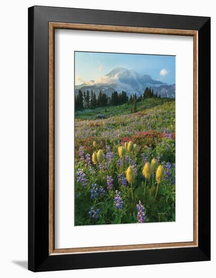 Paradise Wildflower Meadows II-Alan Majchrowicz-Framed Photographic Print