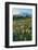 Paradise Wildflower Meadows II-Alan Majchrowicz-Framed Photographic Print