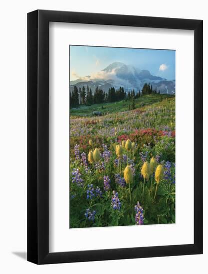 Paradise Wildflower Meadows II-Alan Majchrowicz-Framed Photographic Print