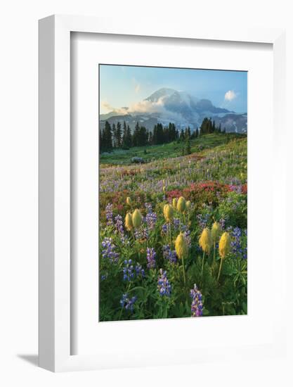 Paradise Wildflower Meadows II-Alan Majchrowicz-Framed Photographic Print