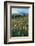 Paradise Wildflower Meadows II-Alan Majchrowicz-Framed Photographic Print