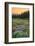 Paradise Wildflower Meadows III-Alan Majchrowicz-Framed Photographic Print