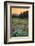 Paradise Wildflower Meadows III-Alan Majchrowicz-Framed Photographic Print