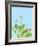 Paradise-Tom Holland-Framed Giclee Print