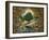 Paradise-Bill Bell-Framed Giclee Print