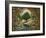 Paradise-Bill Bell-Framed Giclee Print