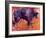 Parado, 1999-Mark Adlington-Framed Giclee Print