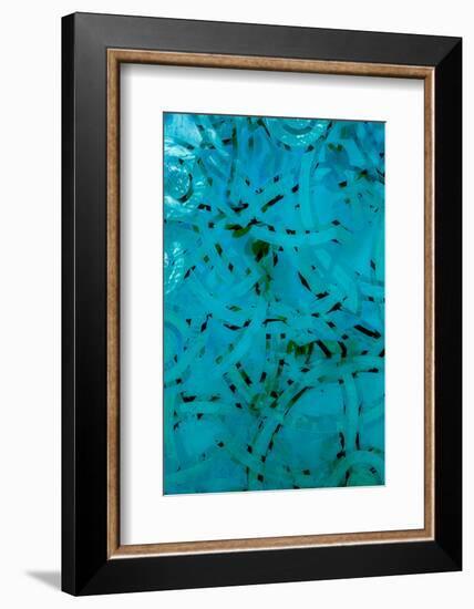 Paradox-Doug Chinnery-Framed Photographic Print