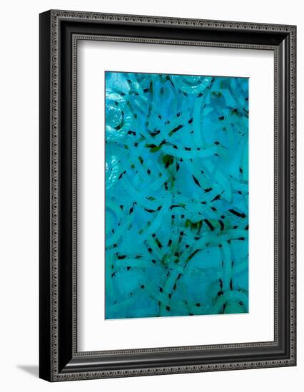 Paradox-Doug Chinnery-Framed Photographic Print