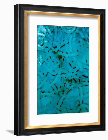 Paradox-Doug Chinnery-Framed Photographic Print