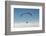 Paraglider, Above the Clouds, Aviation, Paragliding, Blue Sky, Inversion, Bassano, Veneto, Italy-Frank Fleischmann-Framed Photographic Print