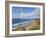 Paraglider, Costa Vincentina, Near Vila Do Bispo, Algarve, Portugal-Neale Clarke-Framed Photographic Print