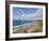 Paraglider, Costa Vincentina, Near Vila Do Bispo, Algarve, Portugal-Neale Clarke-Framed Photographic Print