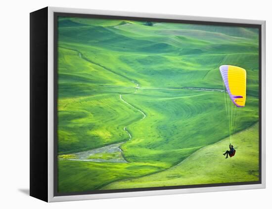 Paragliding Among the Picturesque, Wheat Covered Hills of the Palouse in Eastern Washington at Dusk-Ben Herndon-Framed Premier Image Canvas