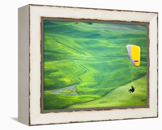 Paragliding Among the Picturesque, Wheat Covered Hills of the Palouse in Eastern Washington at Dusk-Ben Herndon-Framed Premier Image Canvas