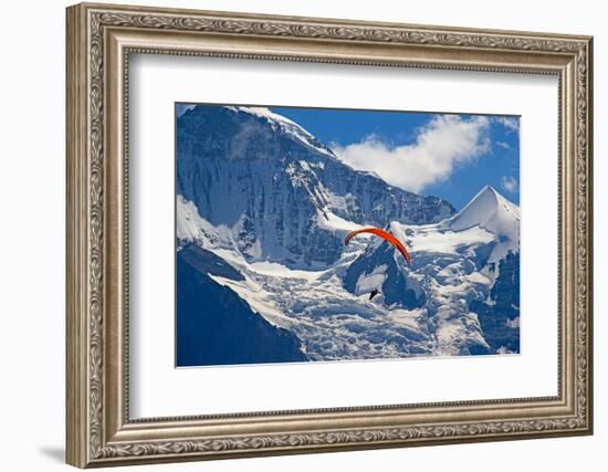 Paragliding in Swiss Alps Jungfrau Region, Switzerland-swisshippo-Framed Photographic Print